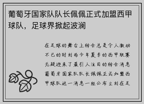 葡萄牙国家队队长佩佩正式加盟西甲球队，足球界掀起波澜